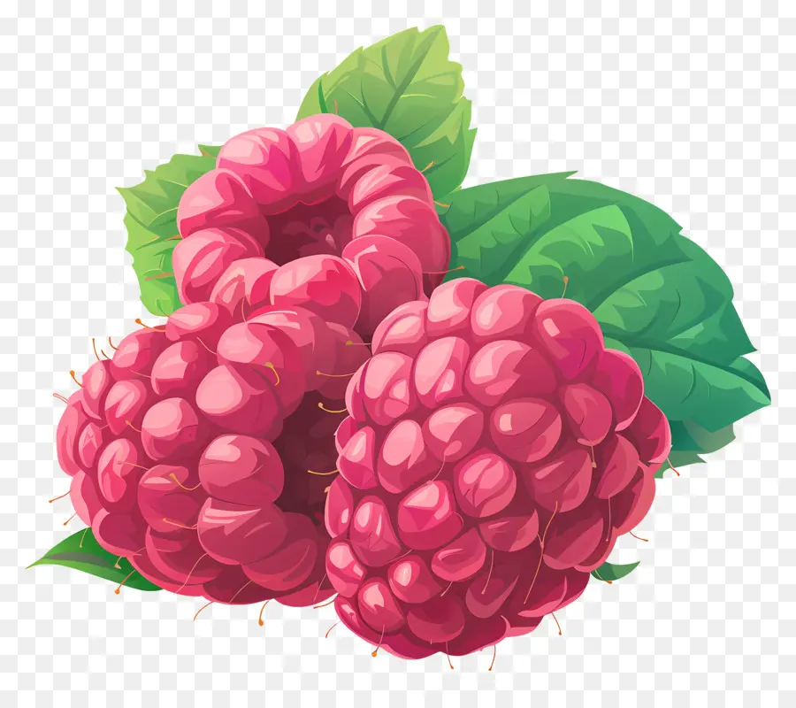 малина，Berries PNG