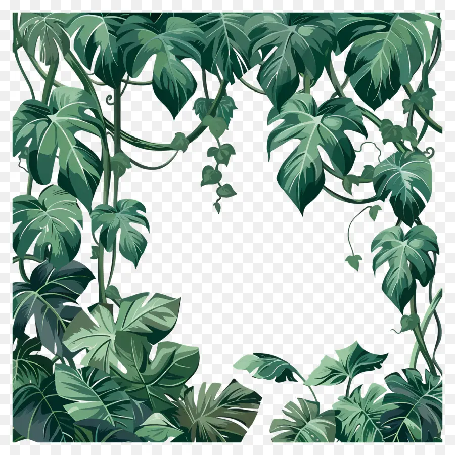 Vines Jungle，джунгли PNG