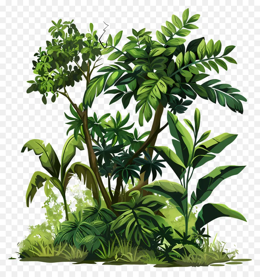 Зеленый кустарник，Tropical Forest PNG