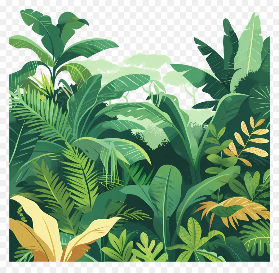 джунгли，тропический PNG