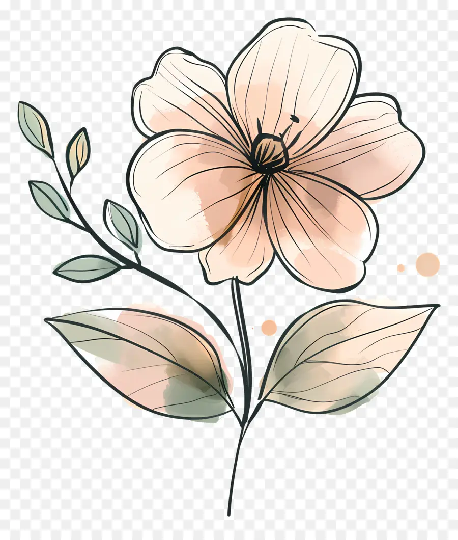 цветы，Flower Watercolor PNG