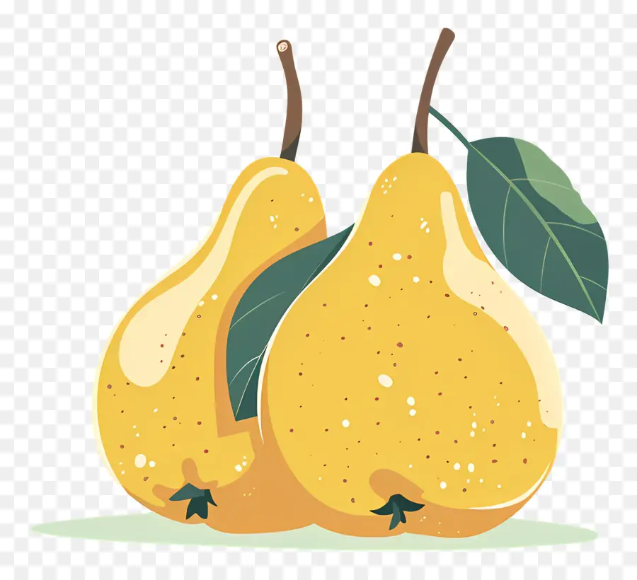 груши，Fruits PNG