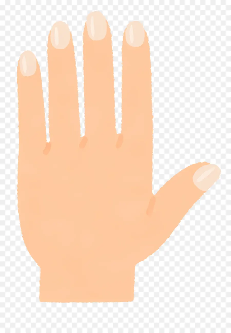 руки，Nail PNG