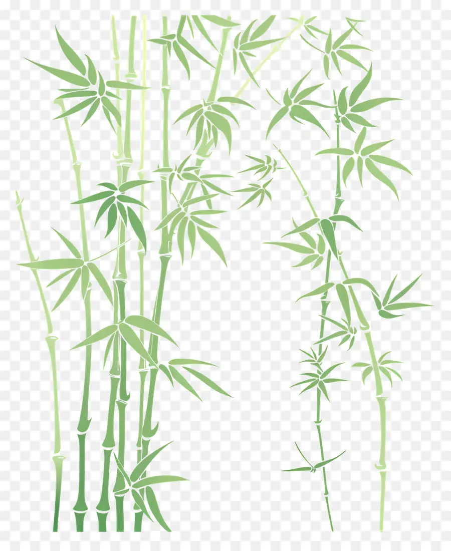 Bamboo，растения PNG