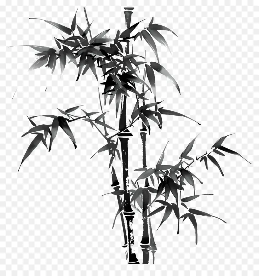 Bamboo，бамбук растение PNG