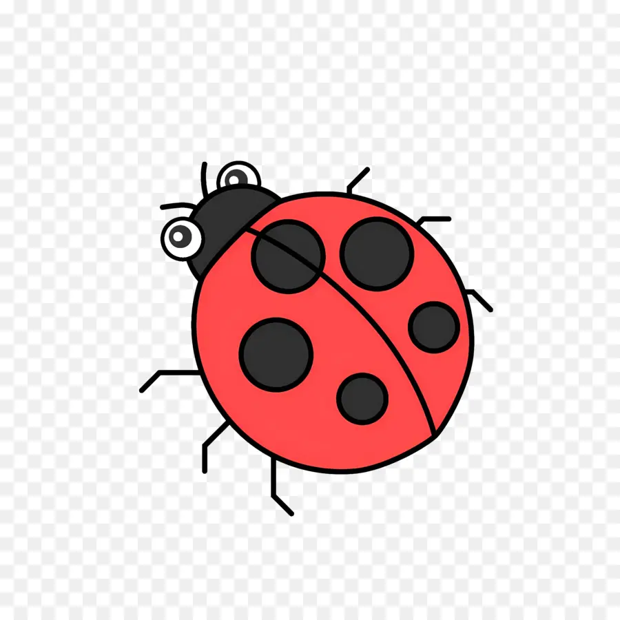 Ladybug，насекомое PNG