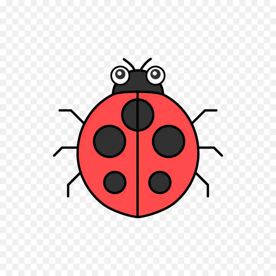 Ladybug，красный PNG