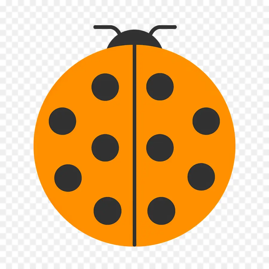 Ladybug，оранжевый PNG