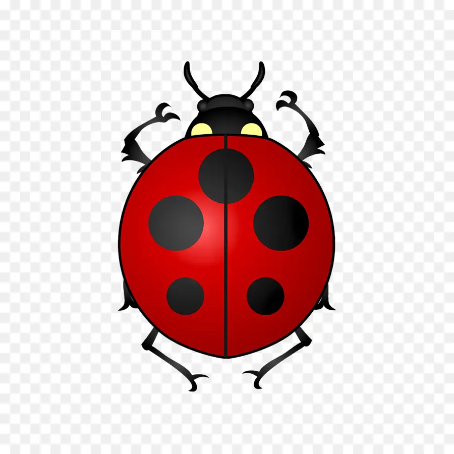 Ladybug，насекомое PNG