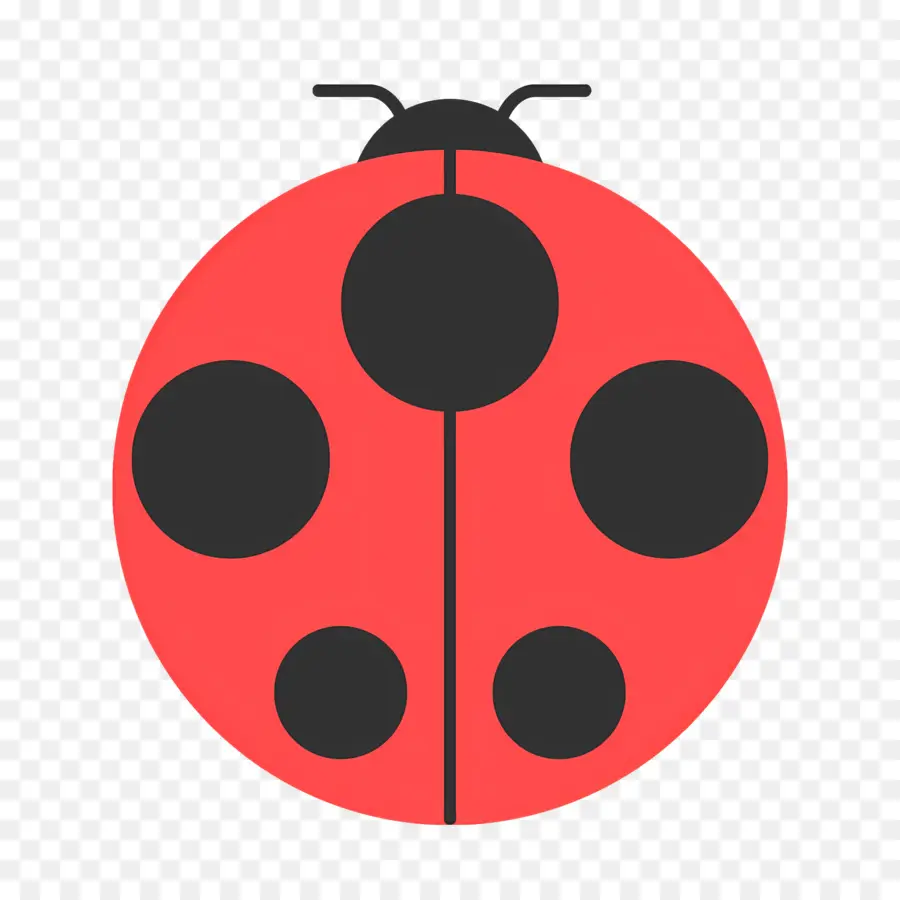 Ladybug，насекомое PNG