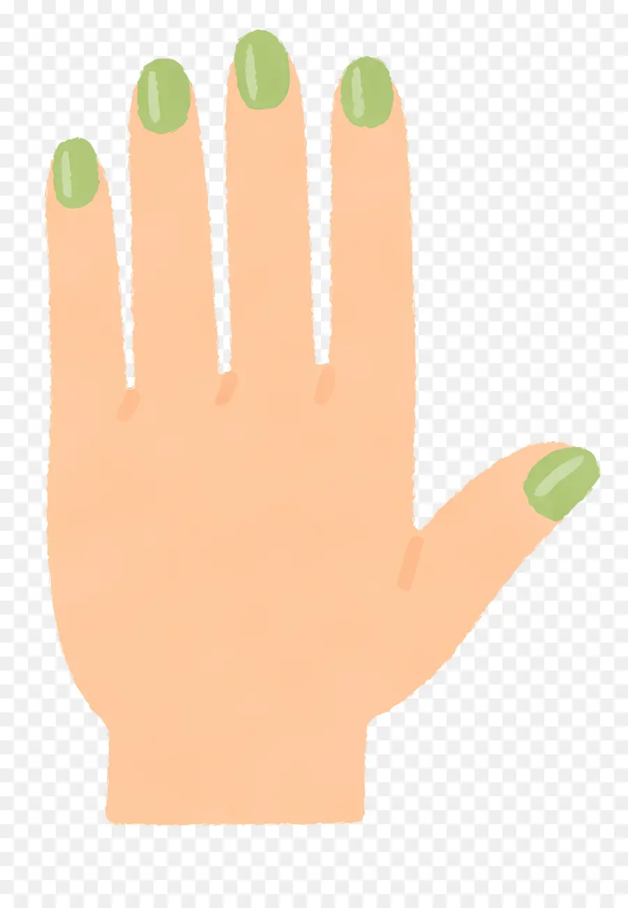 руки，Nail PNG