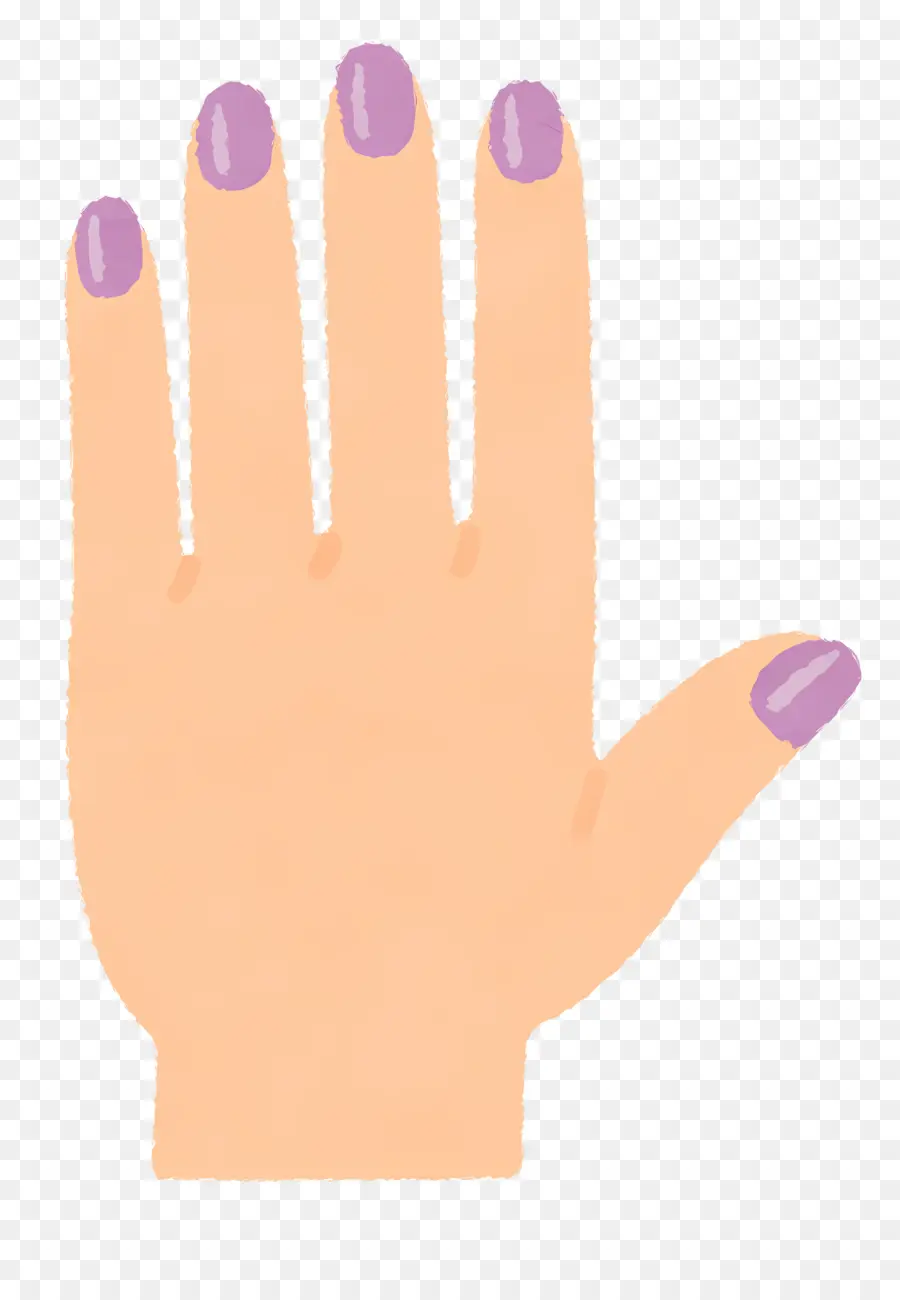 руки，Nail PNG