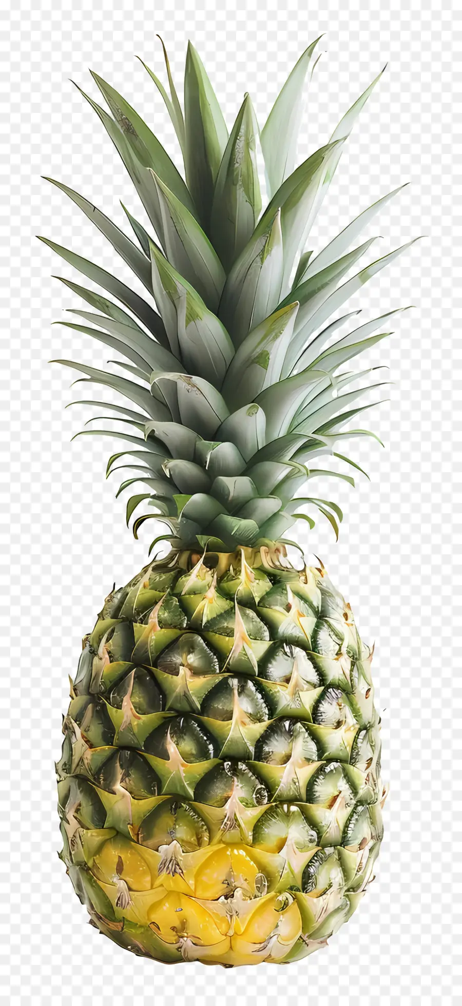 Pineapple，Тропические фрукты PNG