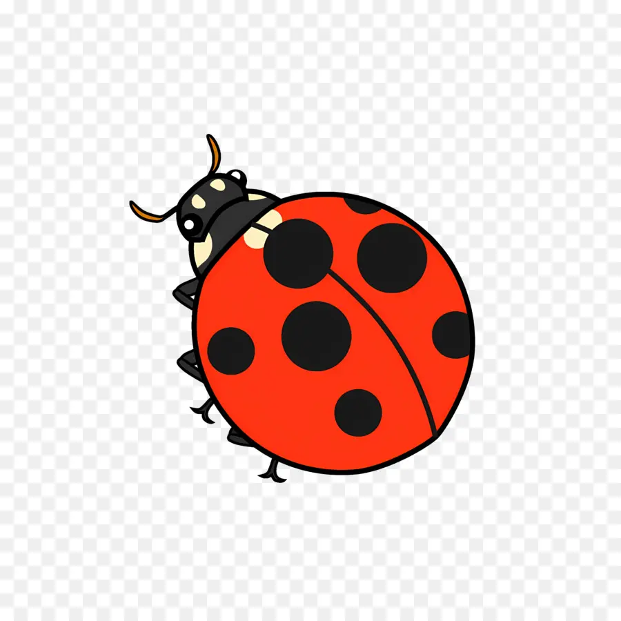 Ladybug，мультфильм Божья коровка PNG