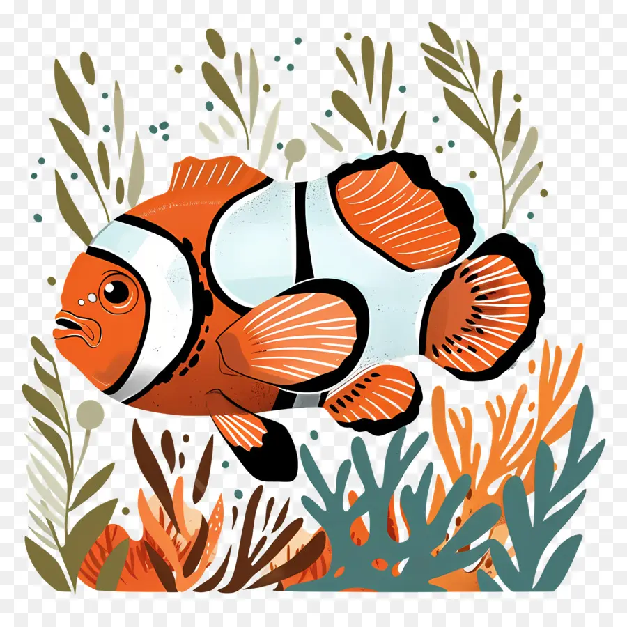 Clownfish，рыба клоун PNG