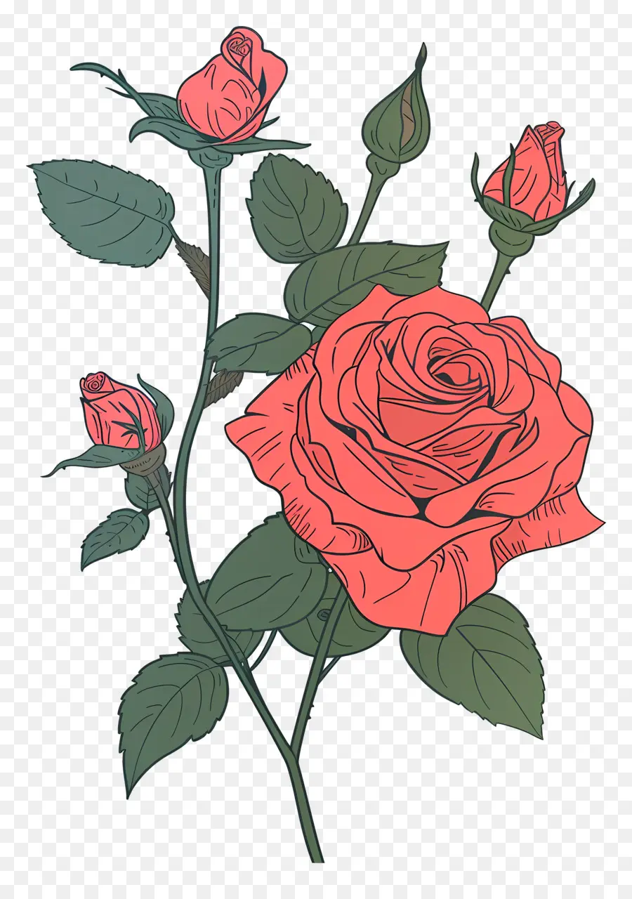 Красные Розы，Pink Rose PNG