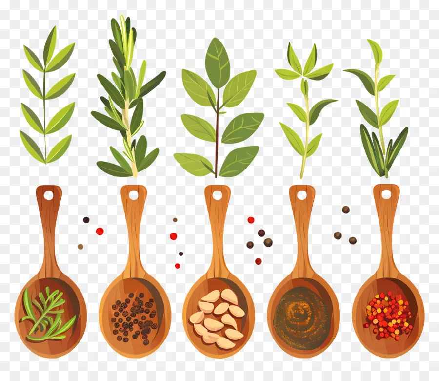 специи，Herbs PNG