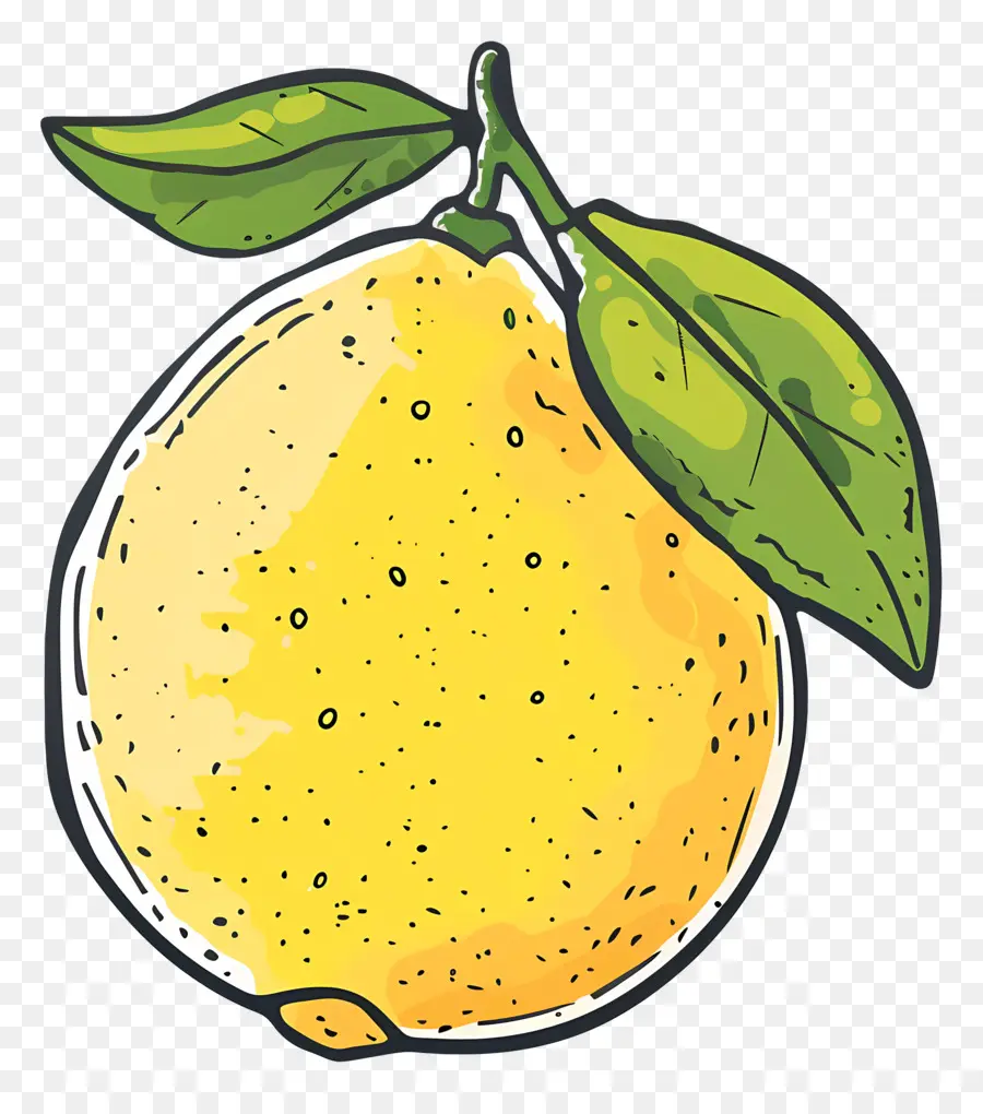 Doodle Lemon，Лимон PNG