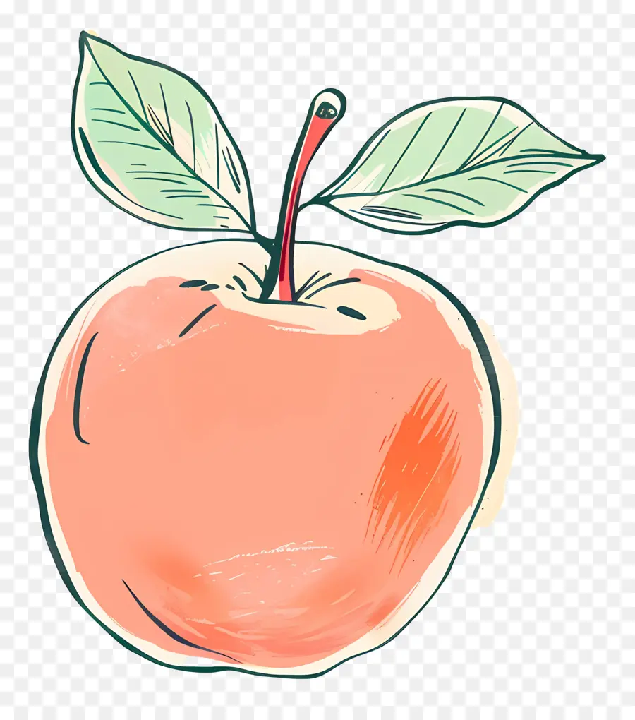 Doodle Apple，нарисованный от руки PNG