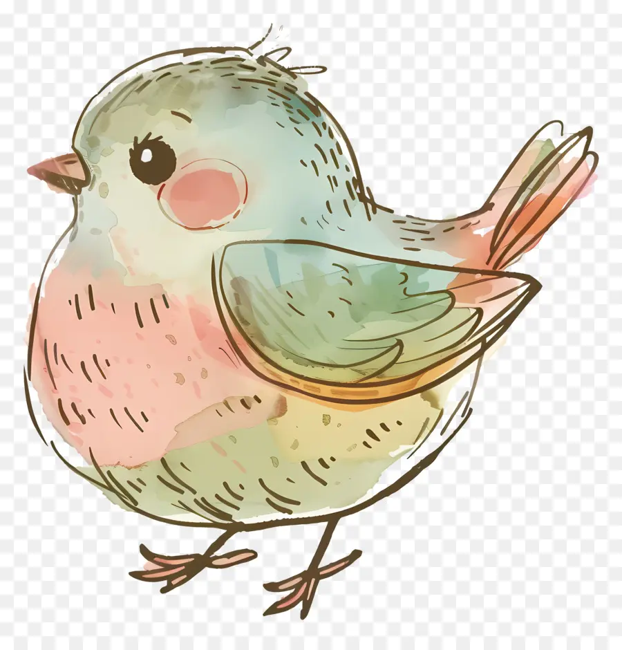 Doodle Bird，красочные птицы PNG