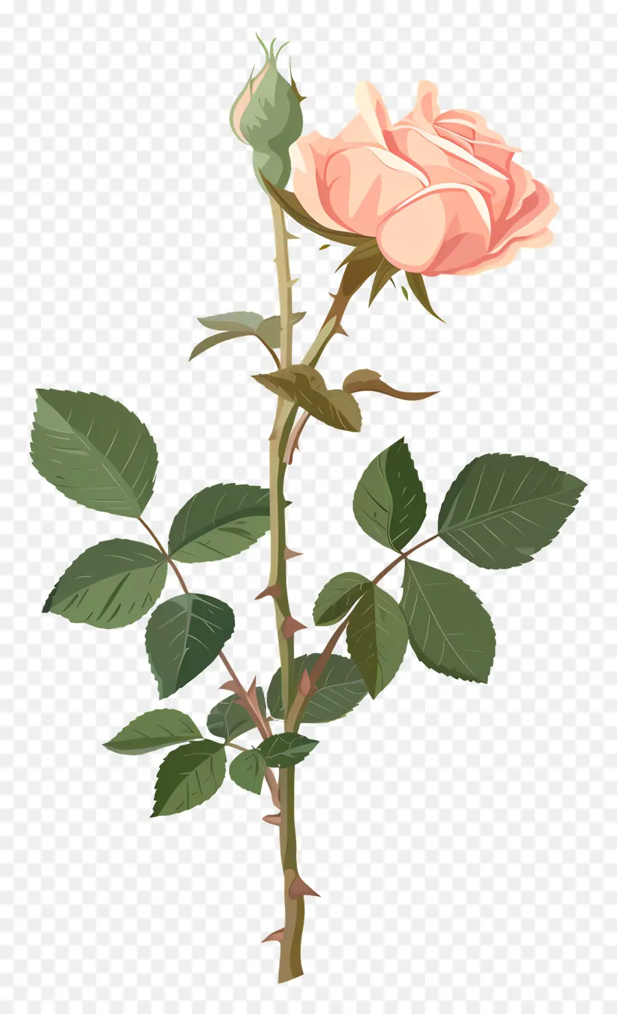 розовый стебель，Pink Rose PNG