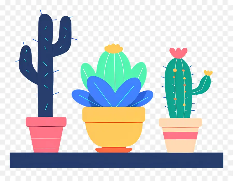 Горшки кактусы，Cacti PNG