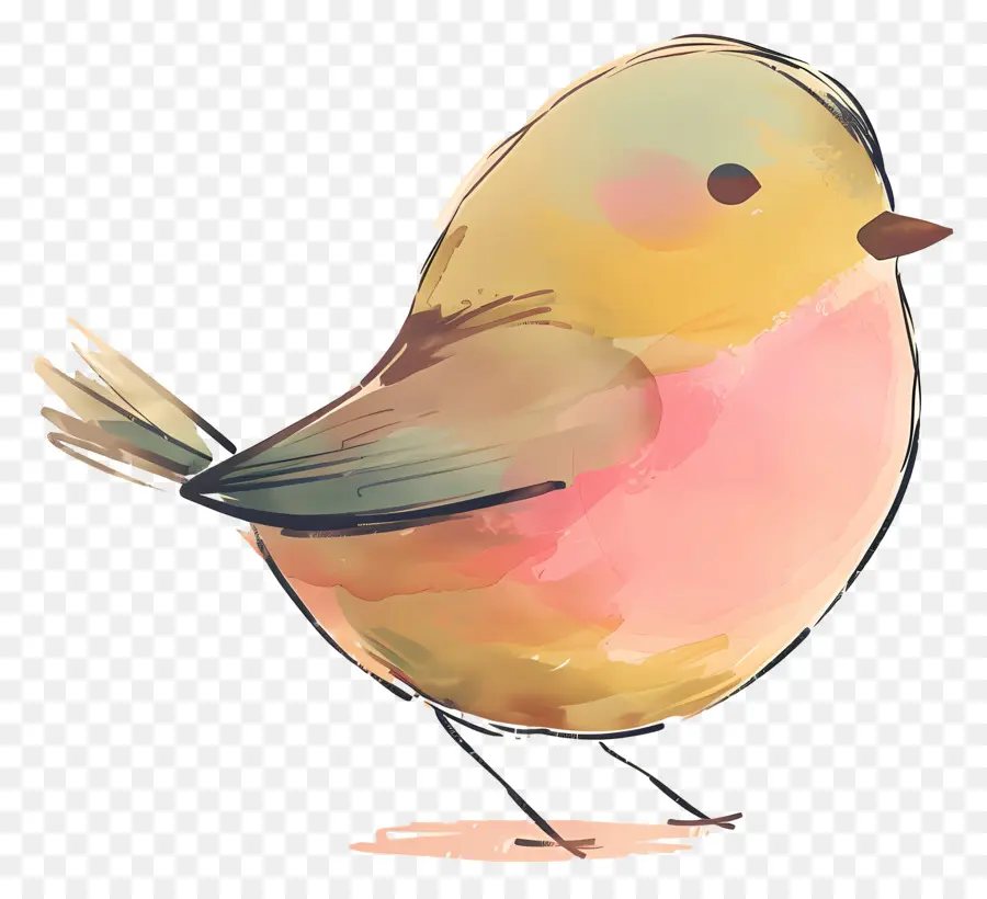 Doodle Bird，акварельная живопись PNG