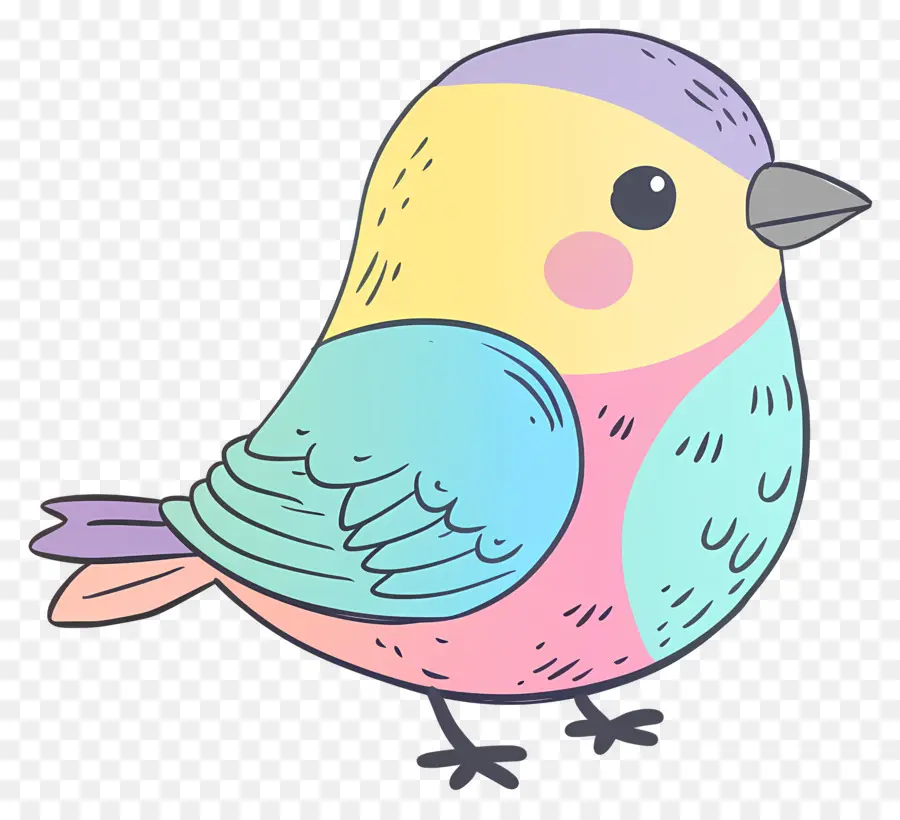 Doodle Bird，красочные птицы PNG