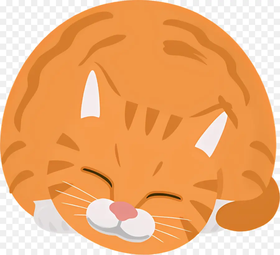 Мультфильм кот，кот PNG