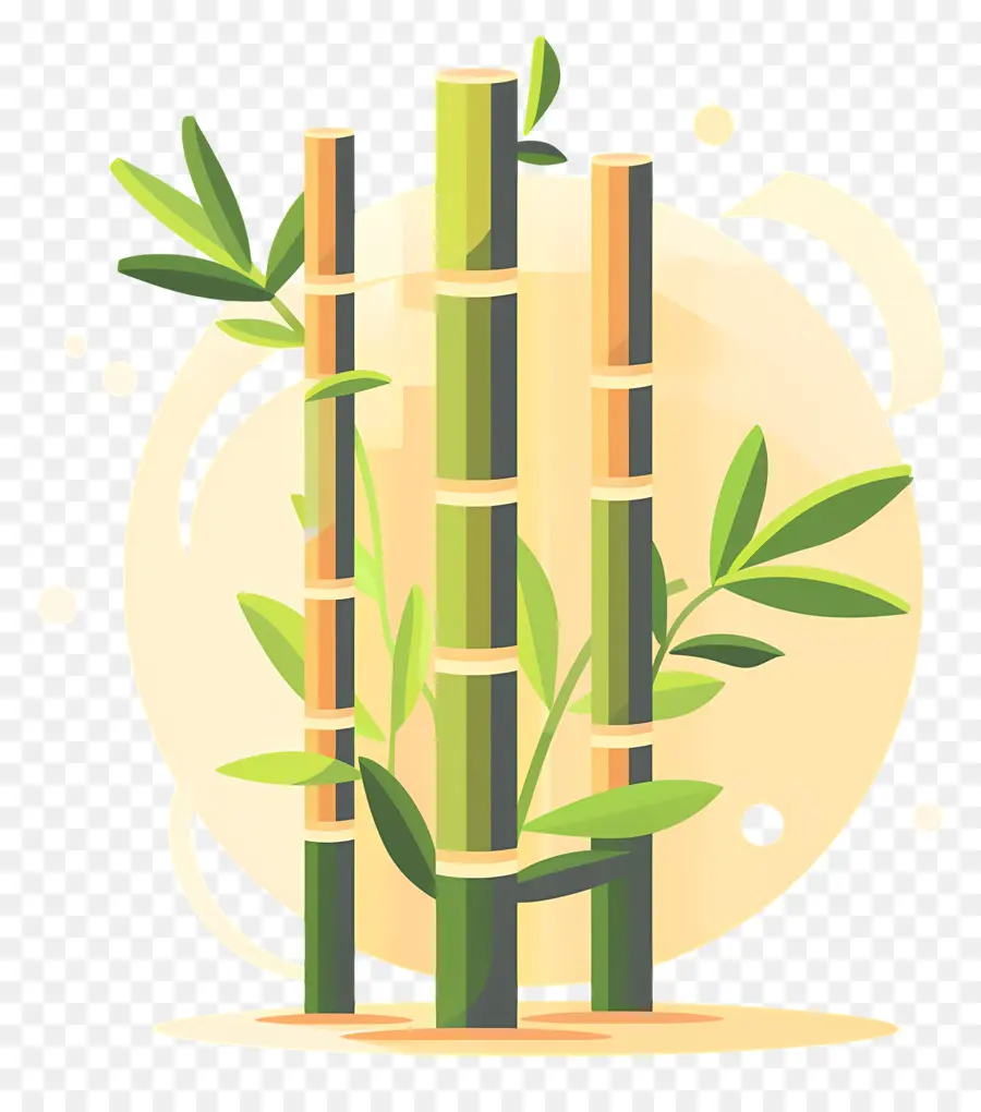 Bamboo，бамбук растение PNG