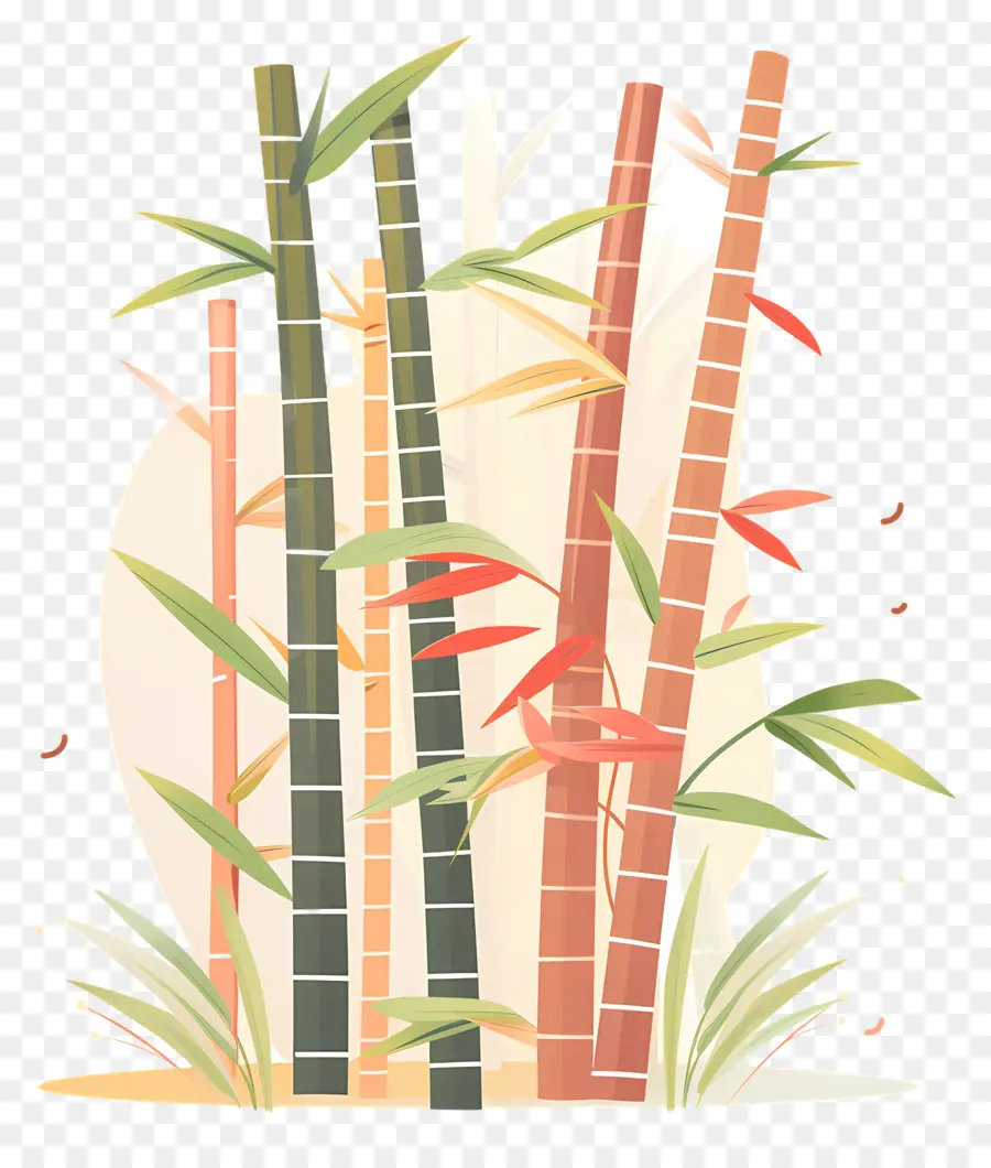 Bamboo Forest，бамбуковые деревья PNG