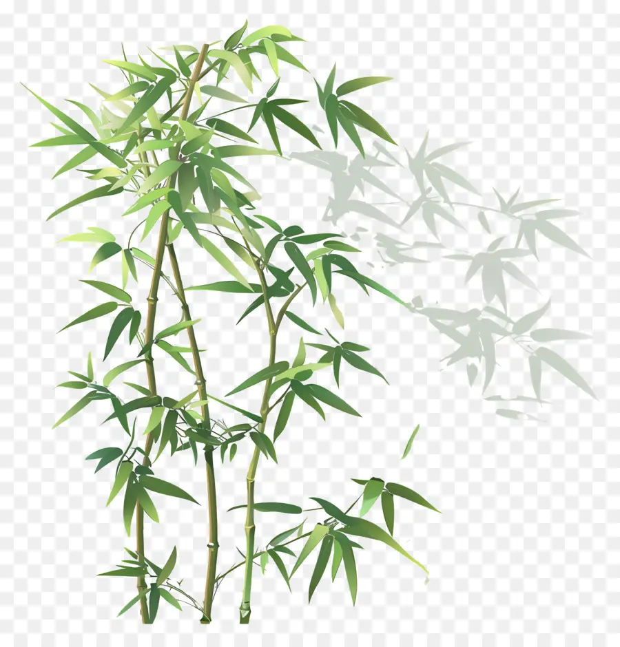 Bamboo，бамбуковое дерево PNG