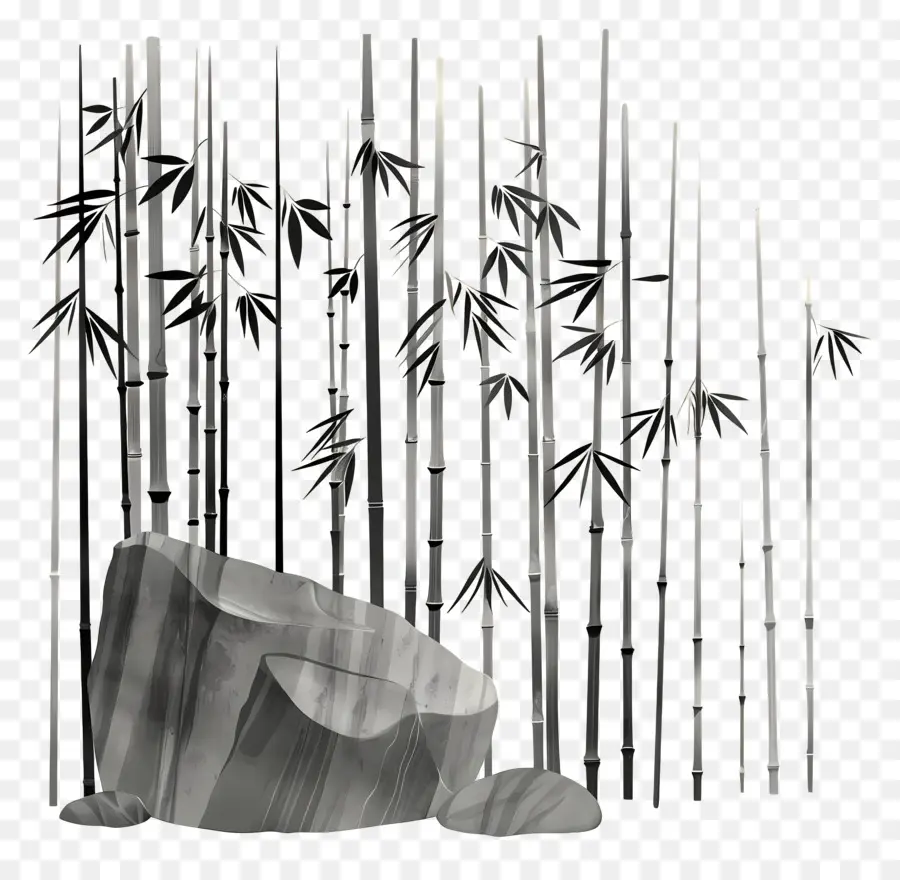 Bamboo，Bamboo Forest PNG