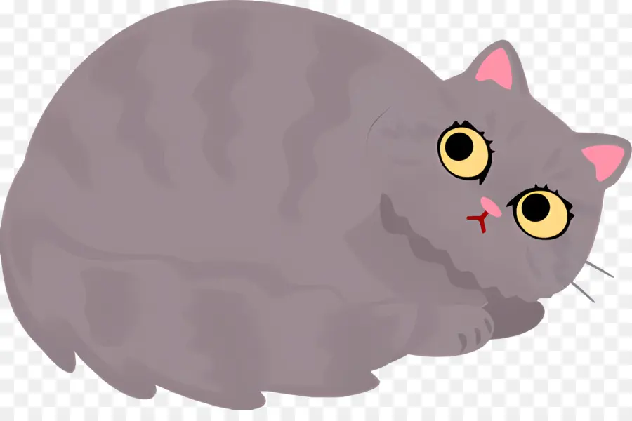 Мультфильм кот，Кот PNG