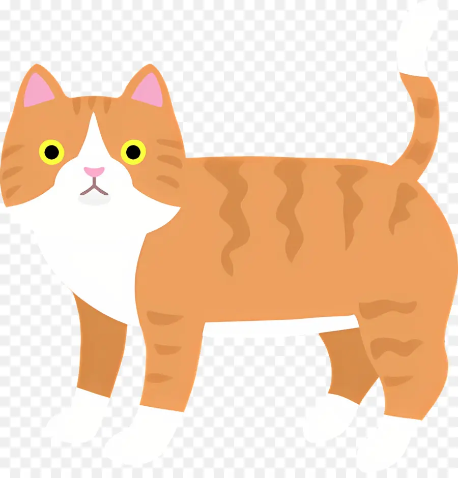 Мультфильм кот，Кот PNG