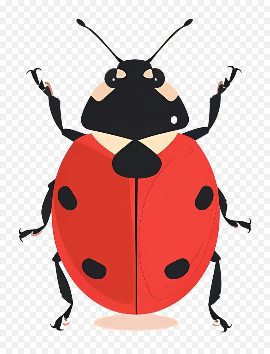 Ladybug，красный PNG