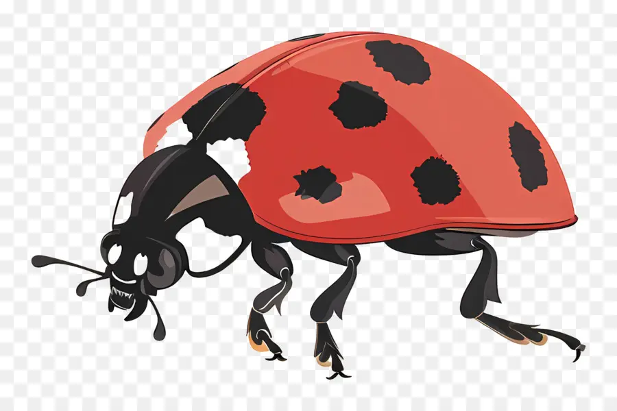 Ladybug，Леди Жук PNG