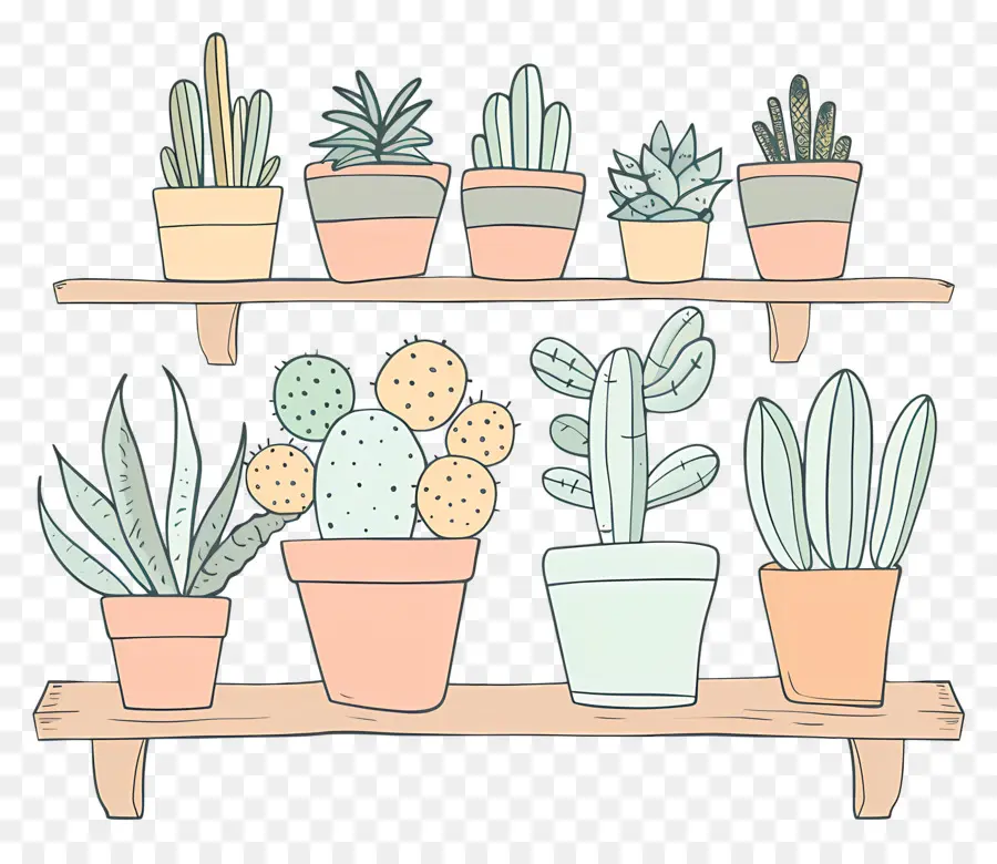 Растения на полке，Cacti PNG