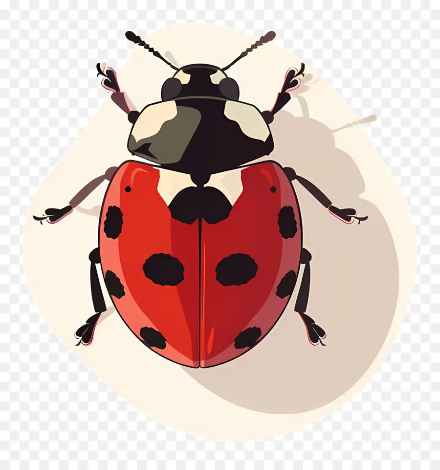 Ladybug，красный и черный PNG