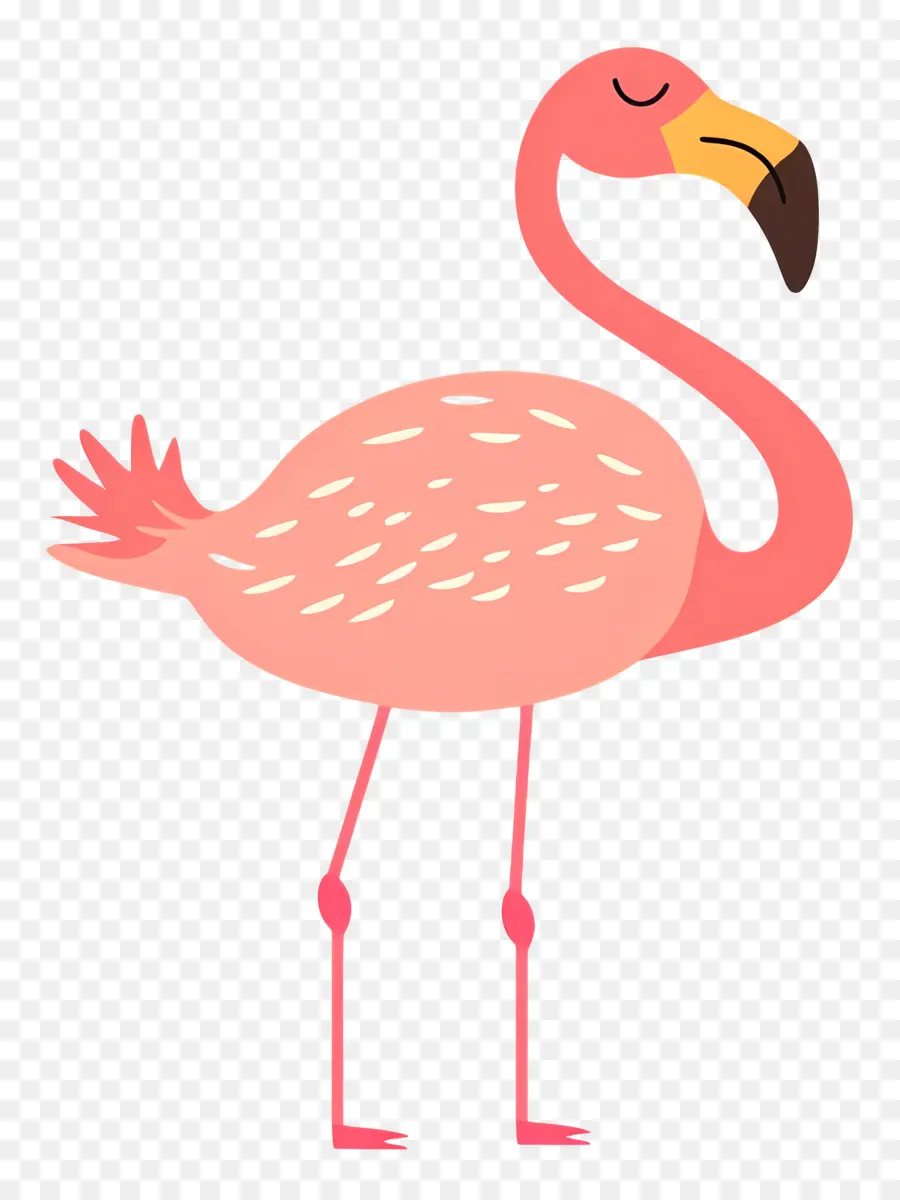 Фламинго，Pink Flamingo PNG