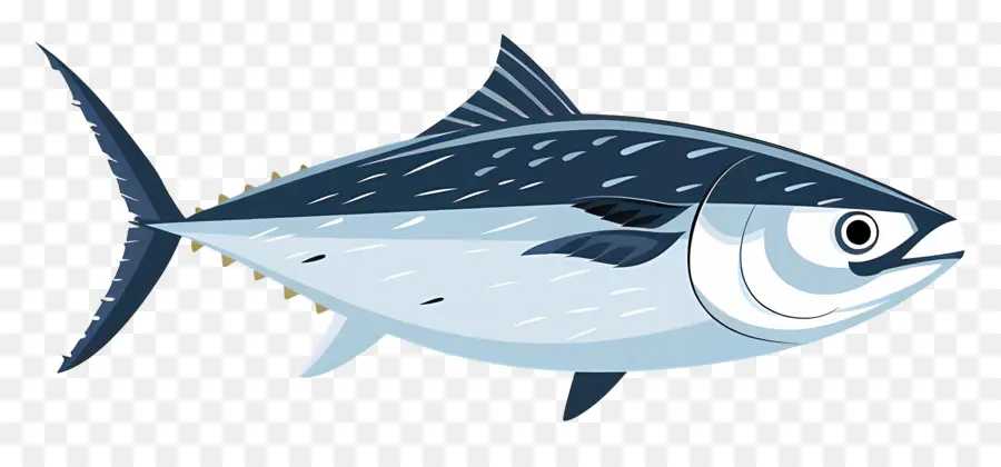 тунец，Tuna Fish PNG