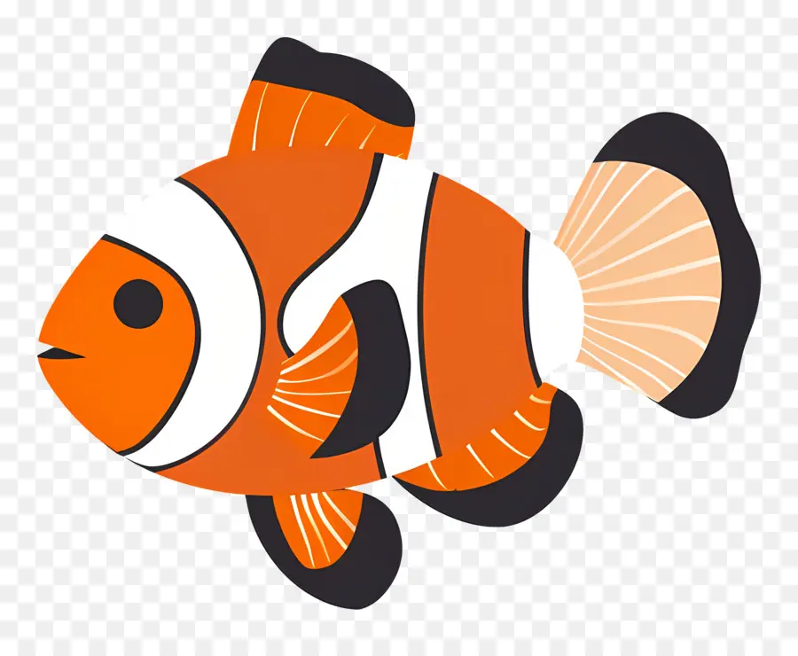 рыба клоун，Clownfish PNG