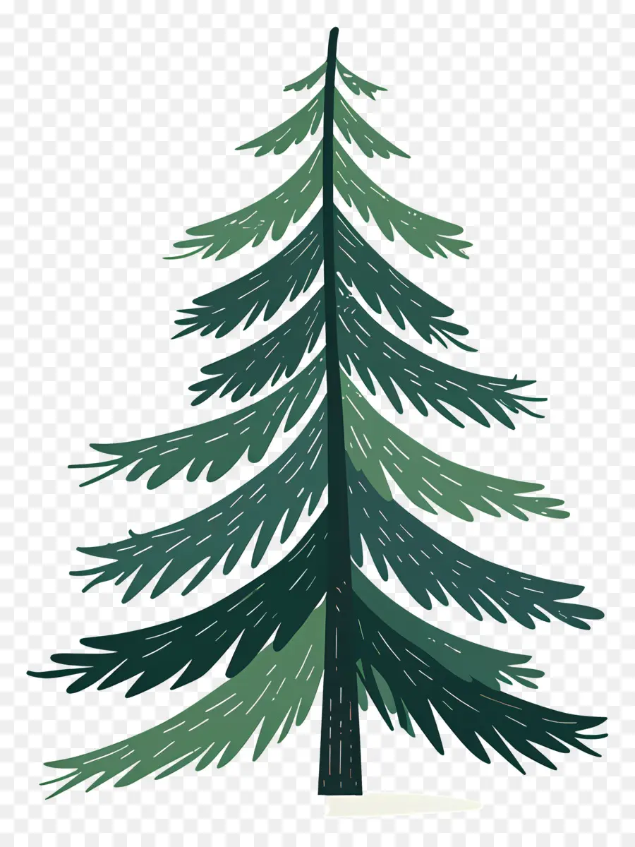 Pine Tree，зеленые иглы PNG