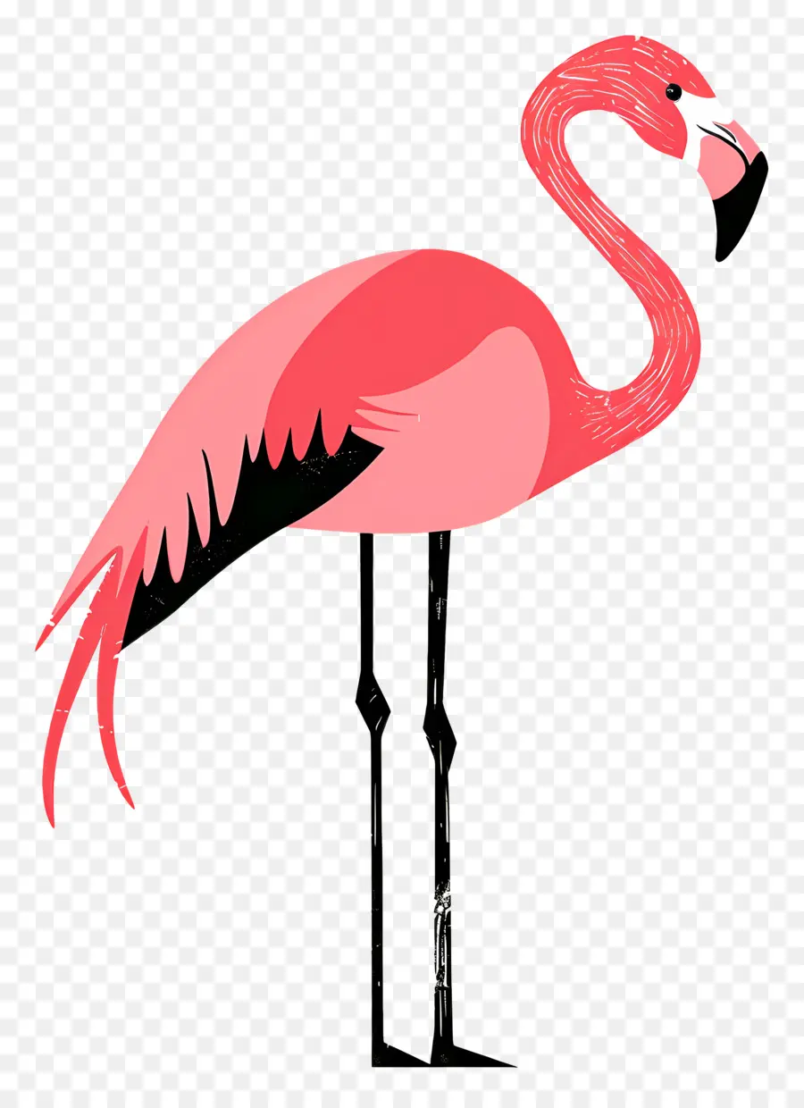 Фламинго，Pink Flamingo PNG