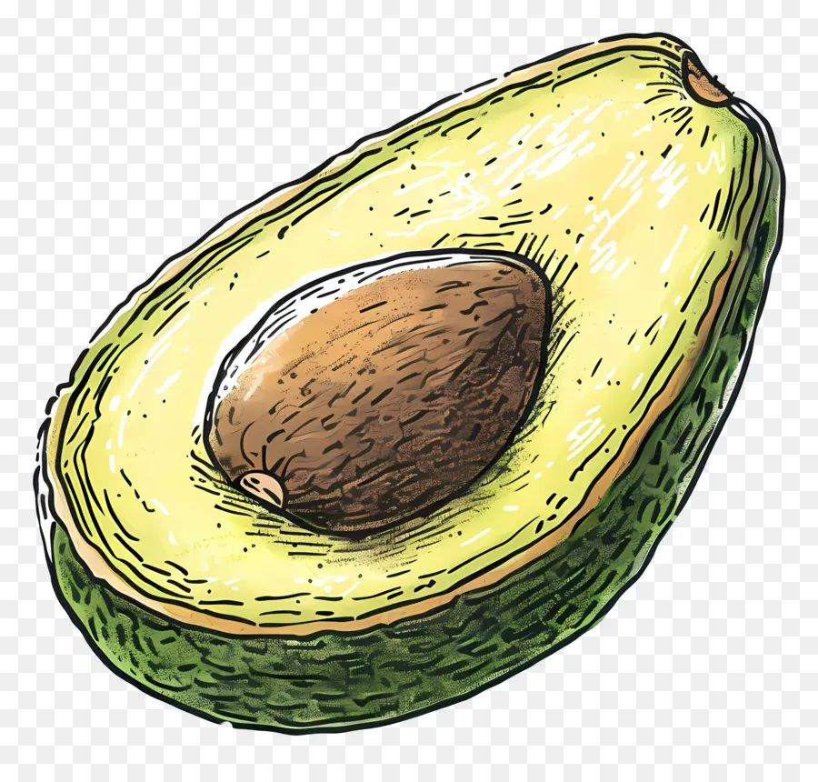 Half Avocado，Авокадо PNG