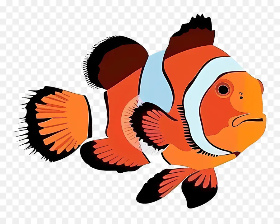 рыба клоун，Clownfish PNG