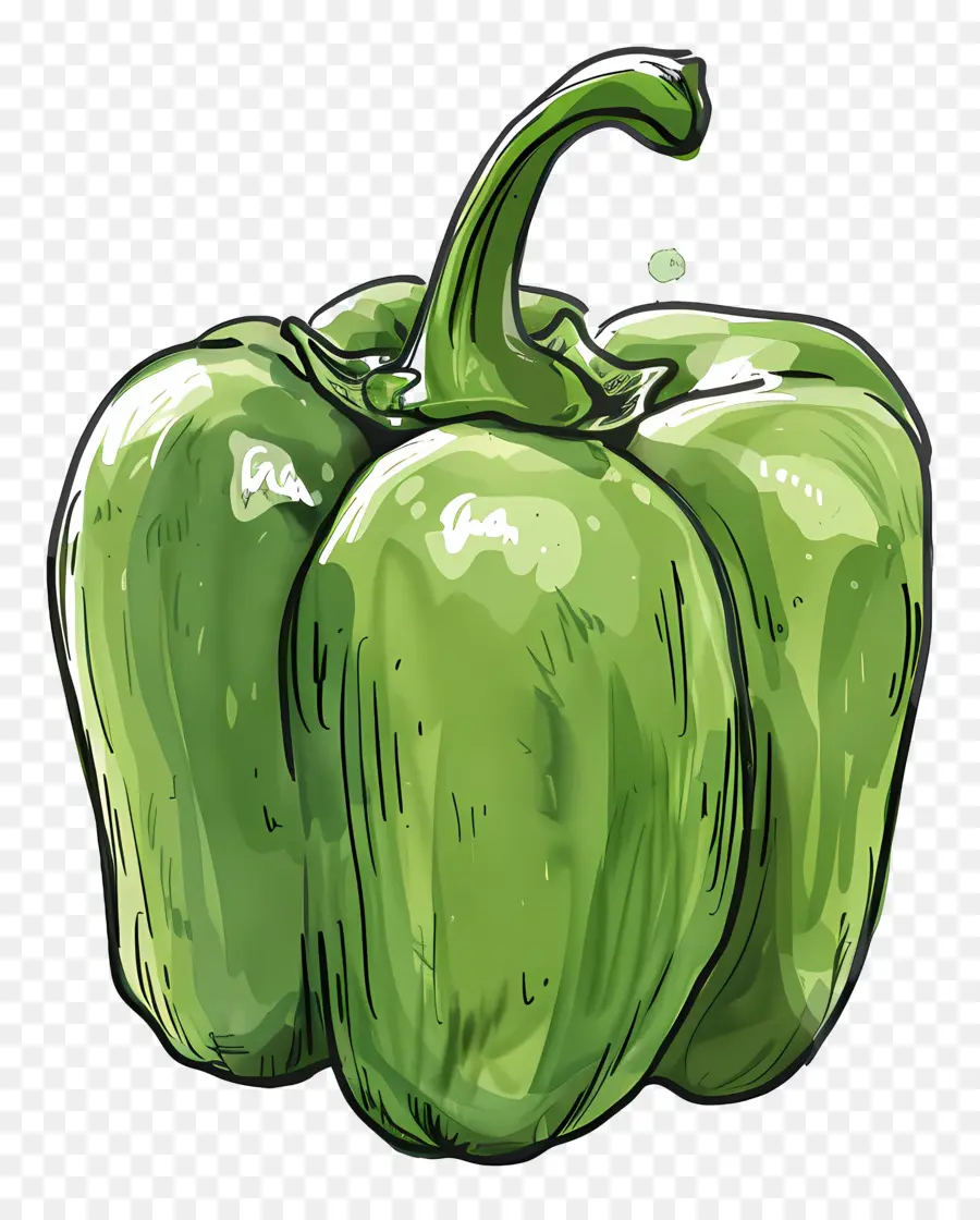 Bell Pepper，зеленый перец PNG