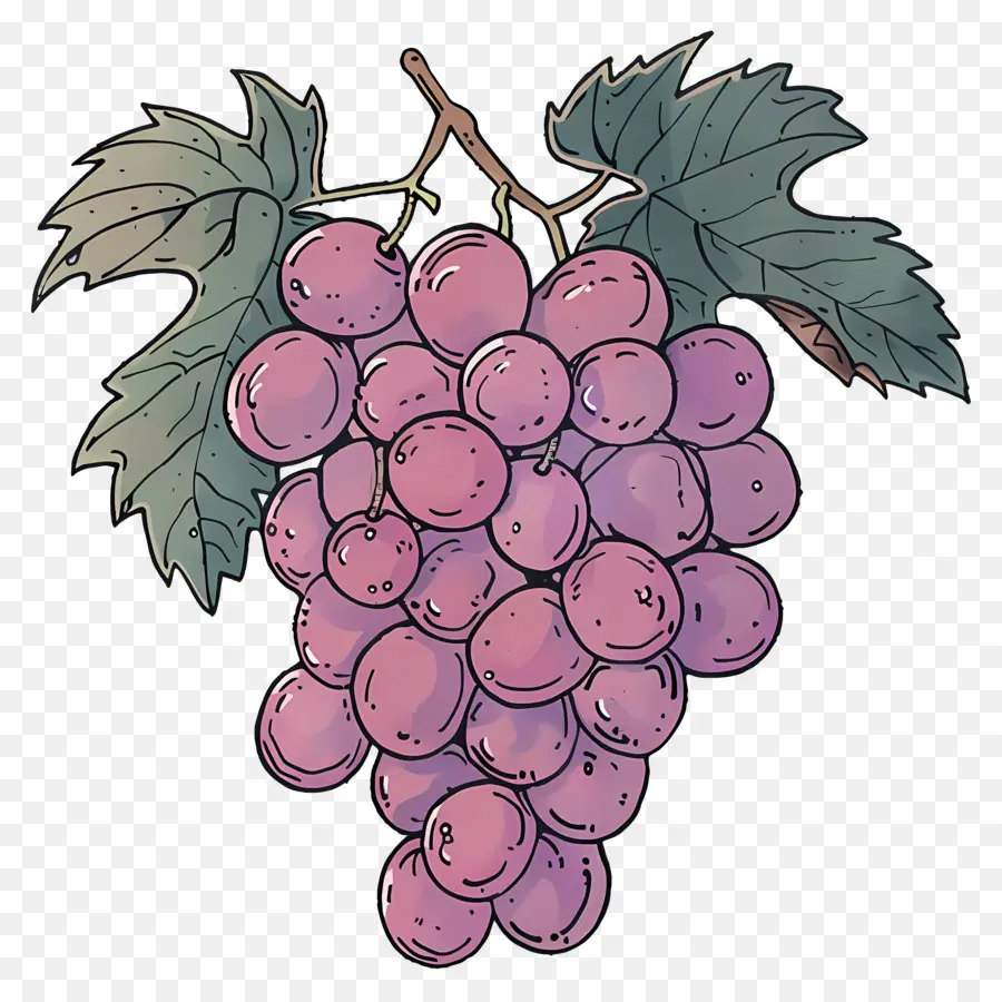 гроздь винограда，Grapes PNG