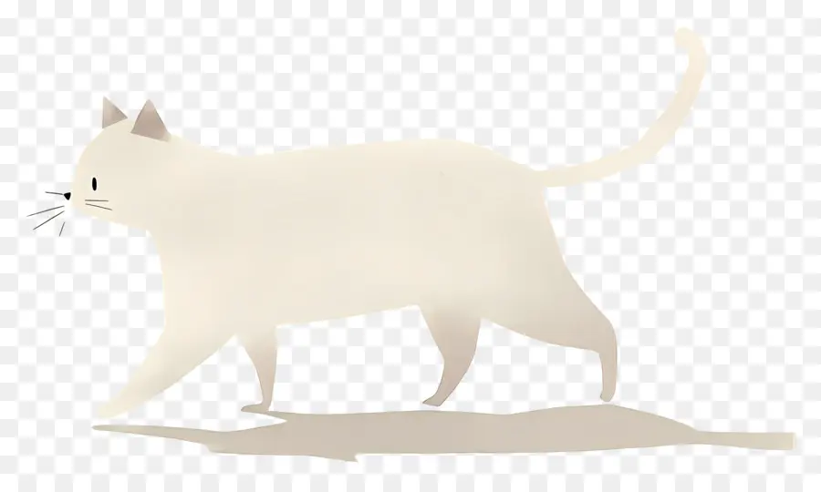 Кошка гуляет，Белый Кот PNG